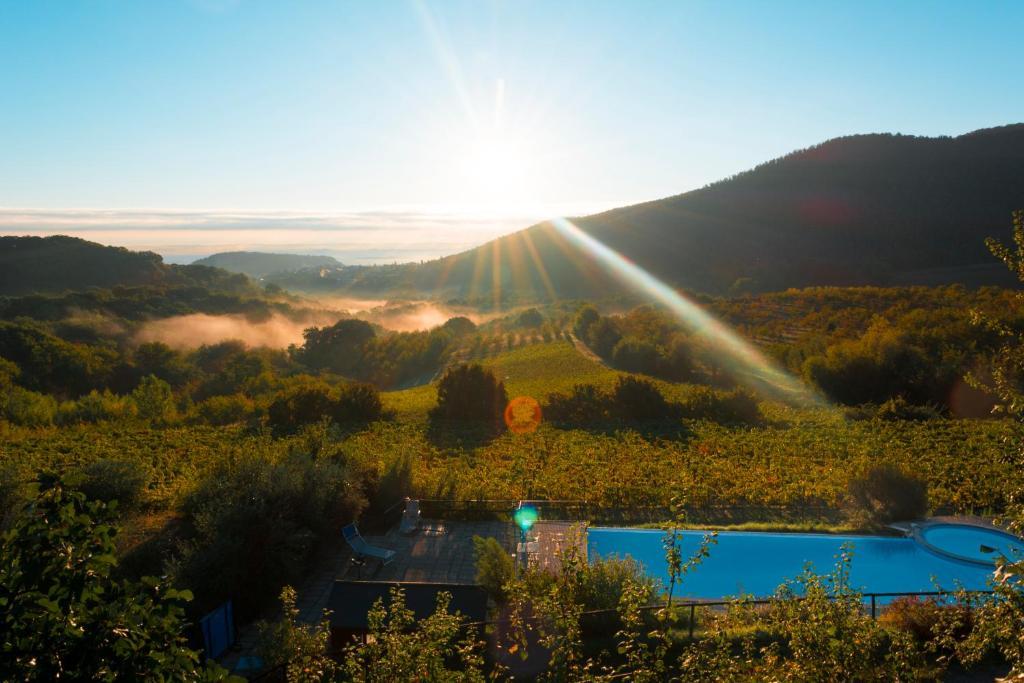 Agriturismo Il Serraglio Монтепульчано Экстерьер фото